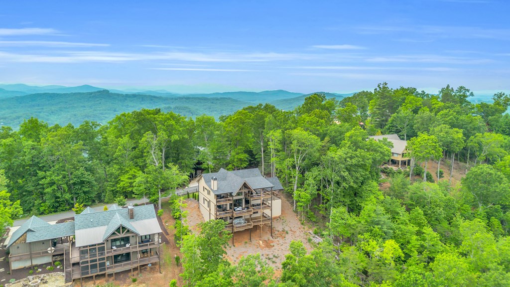 601 Overlook Drive Blue Ridge, GA 30513 - Photo 66 of 69