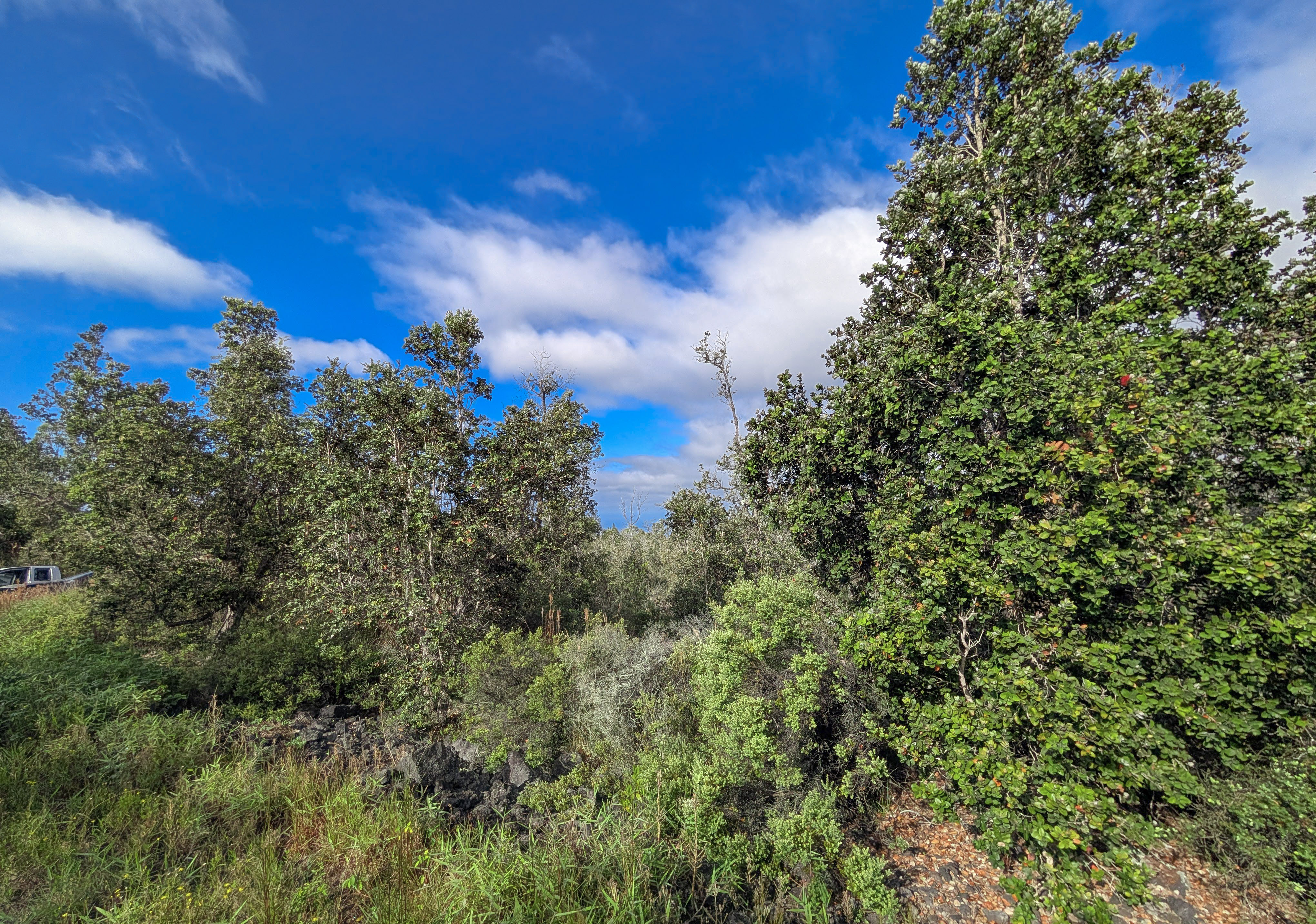 28 Catamaran Lane Ocean View, HI 96704 - Photo 1 of 12 a view of a city with lush green forest