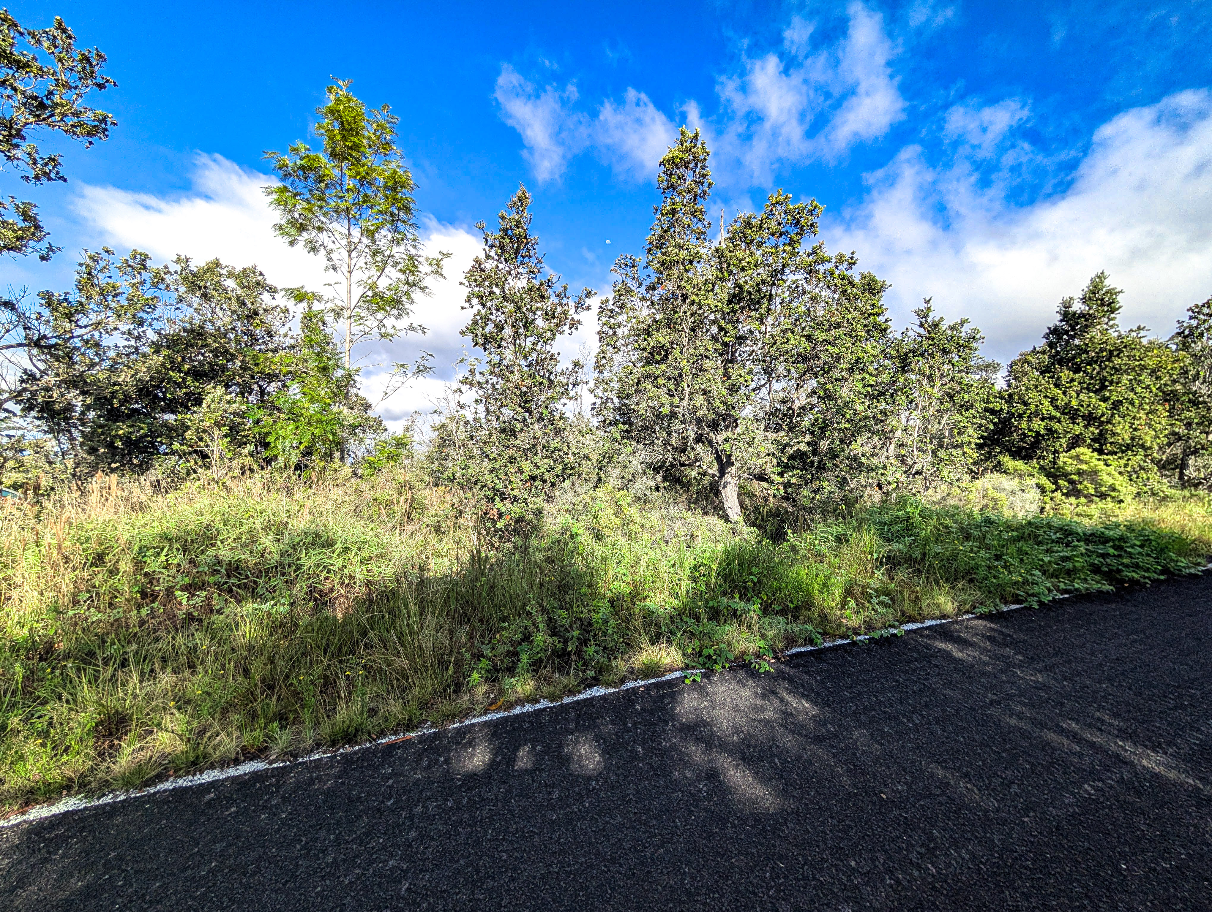 28 Catamaran Lane Ocean View, HI 96704 - Photo 4 of 12 a view of a yard with a tree