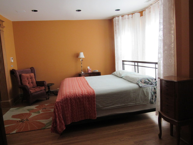 3309 South Lowe Avenue Chicago, IL 60616 - Photo 14 of 25