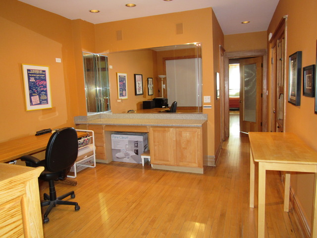 3309 South Lowe Avenue Chicago, IL 60616 - Photo 16 of 25