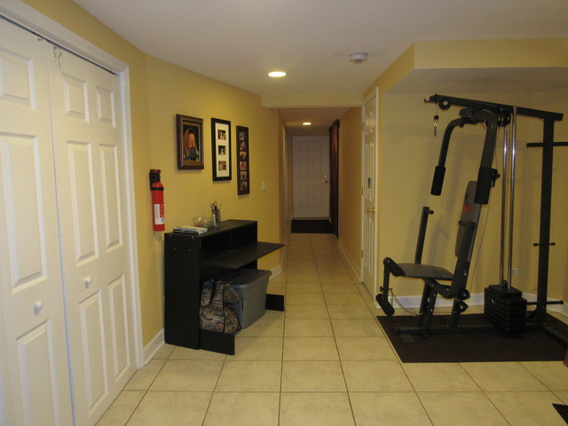 3309 South Lowe Avenue Chicago, IL 60616 - Photo 23 of 25