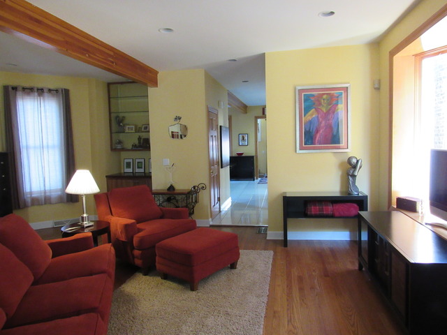 3309 South Lowe Avenue Chicago, IL 60616 - Photo 7 of 25