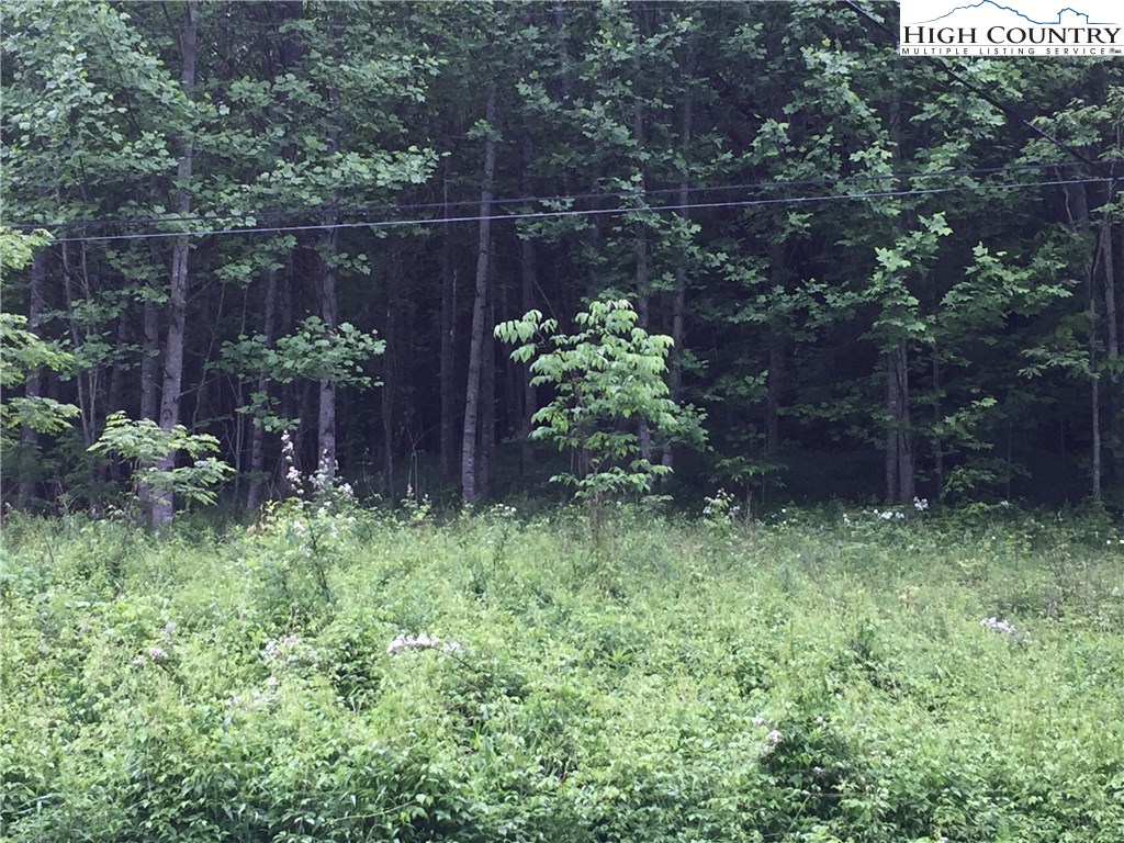 1140 Tucker Road Lansing, NC 28643 - Photo 16 of 17