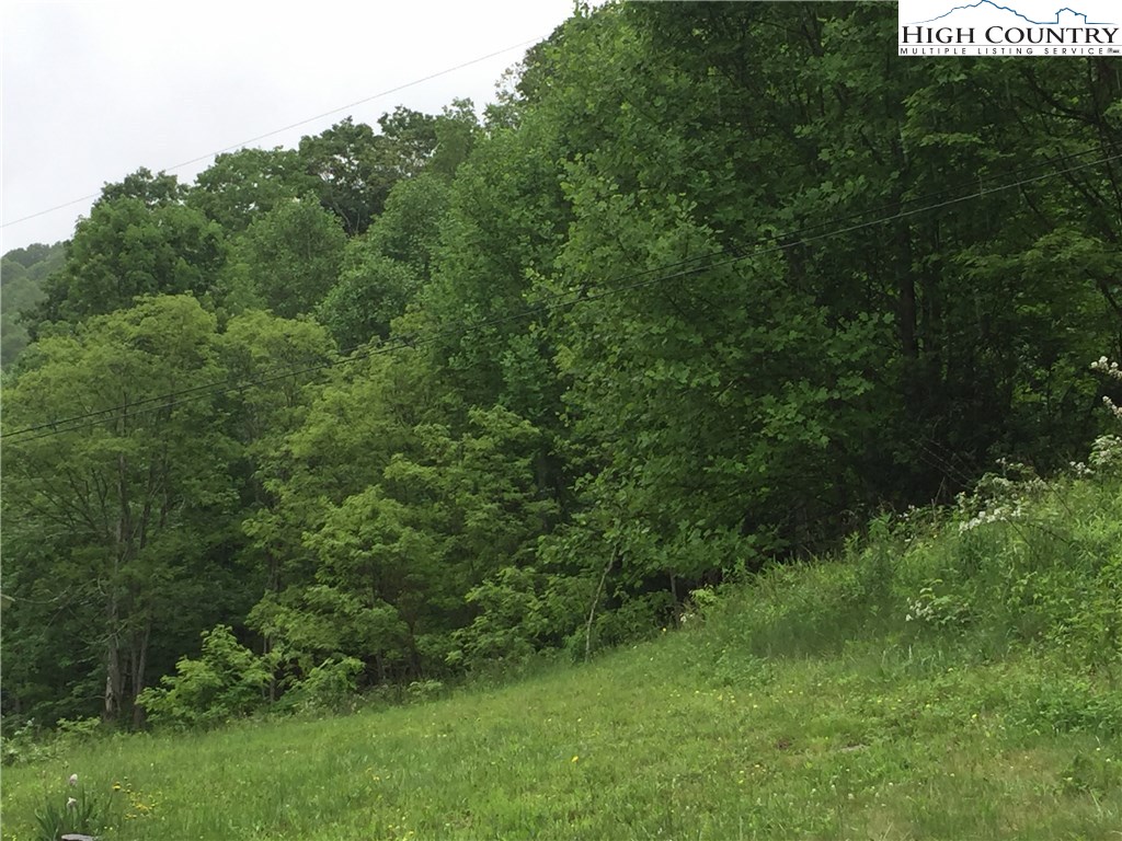 1140 Tucker Road Lansing, NC 28643 - Photo 17 of 17