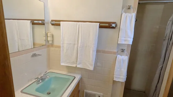 a bathroom with a sink and a shower