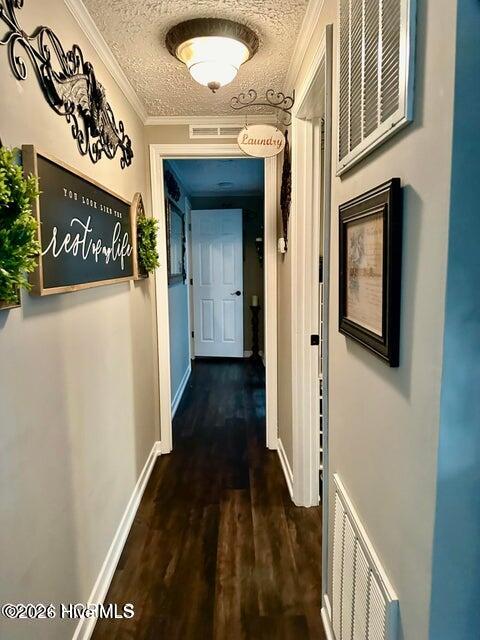 13455 Rough And Ready Road Cerro Gordo, NC 28430 - Photo 25 of 52 20240406170633628897000000-o