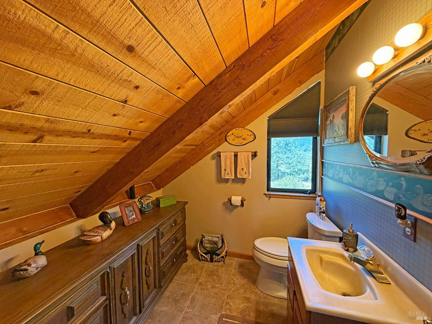 31312 High Point Road Potter Valley, CA 95469 - Photo 32 of 58 a bathroom with a sink mirror and toilet