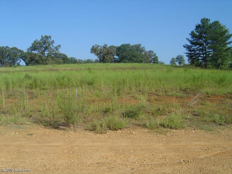 54 County Road Winfield, AL 35594 - Photo 1 of 2 Gallery Image 1