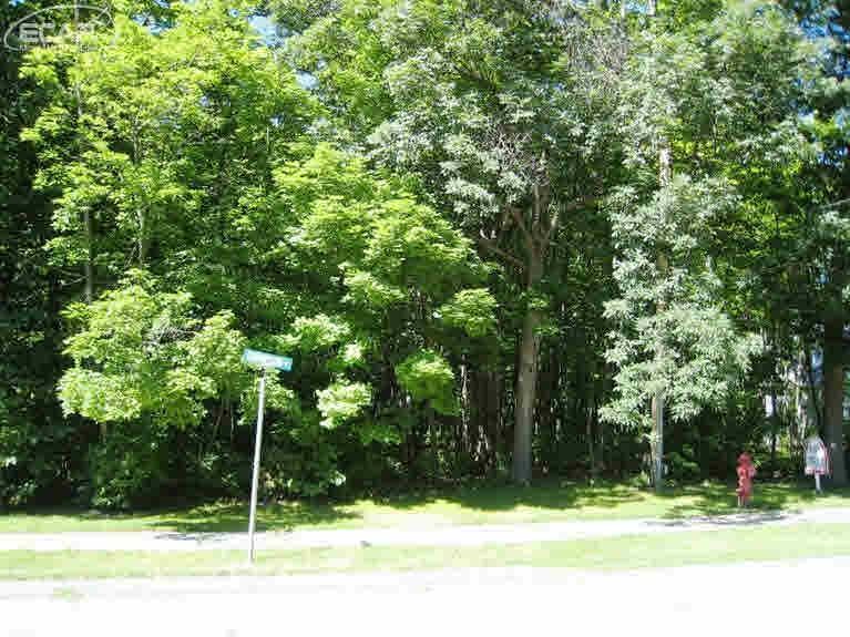0 Thompson Howell, MI 48843 - Photo 8 of 12