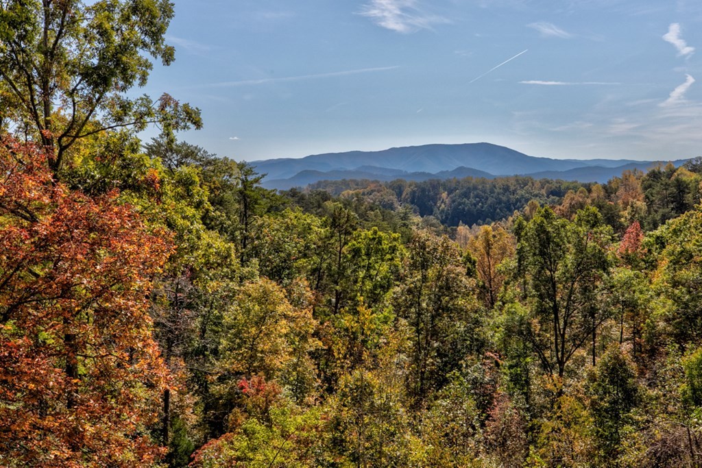 1821 Fantasy Way Sevierville, TN 37876 - Photo 6 of 48 Gallery Image 6