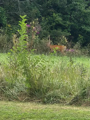 $775,000 | 9100 South Us Highway, Muncie, IN 47302