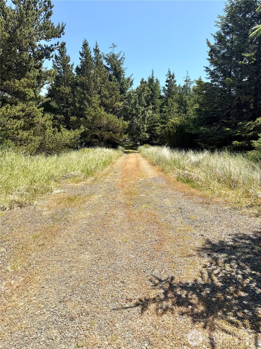 15217 Pacific Way Long Beach, WA 98631 - Photo 40 of 40 a view of lake view