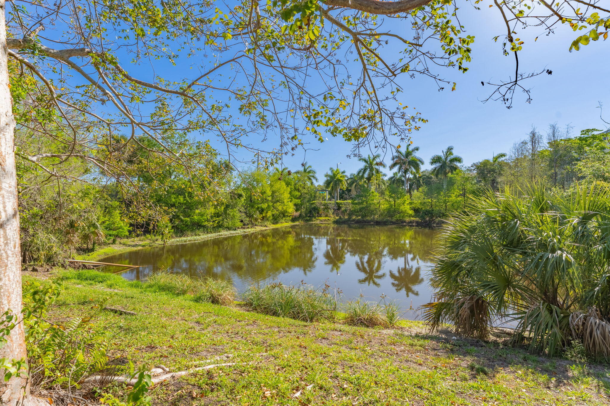 638 Northwest 38th Circle Boca Raton, FL 33431 - Photo 48 of 57 45-web-or-mls-63-print-DSC00210-HDR