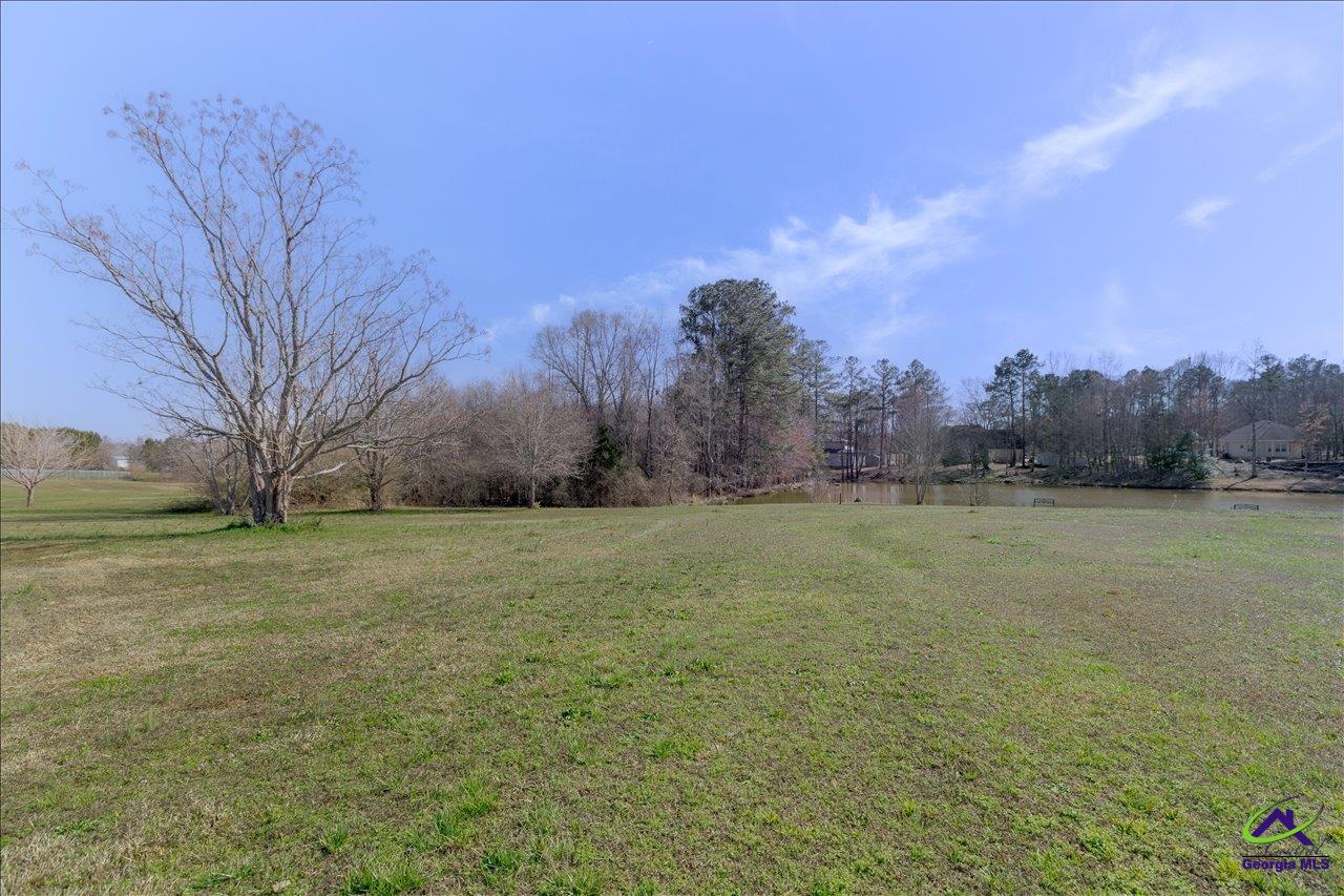 309 High Falls Road Jackson, GA 30233 - Photo 43 of 48