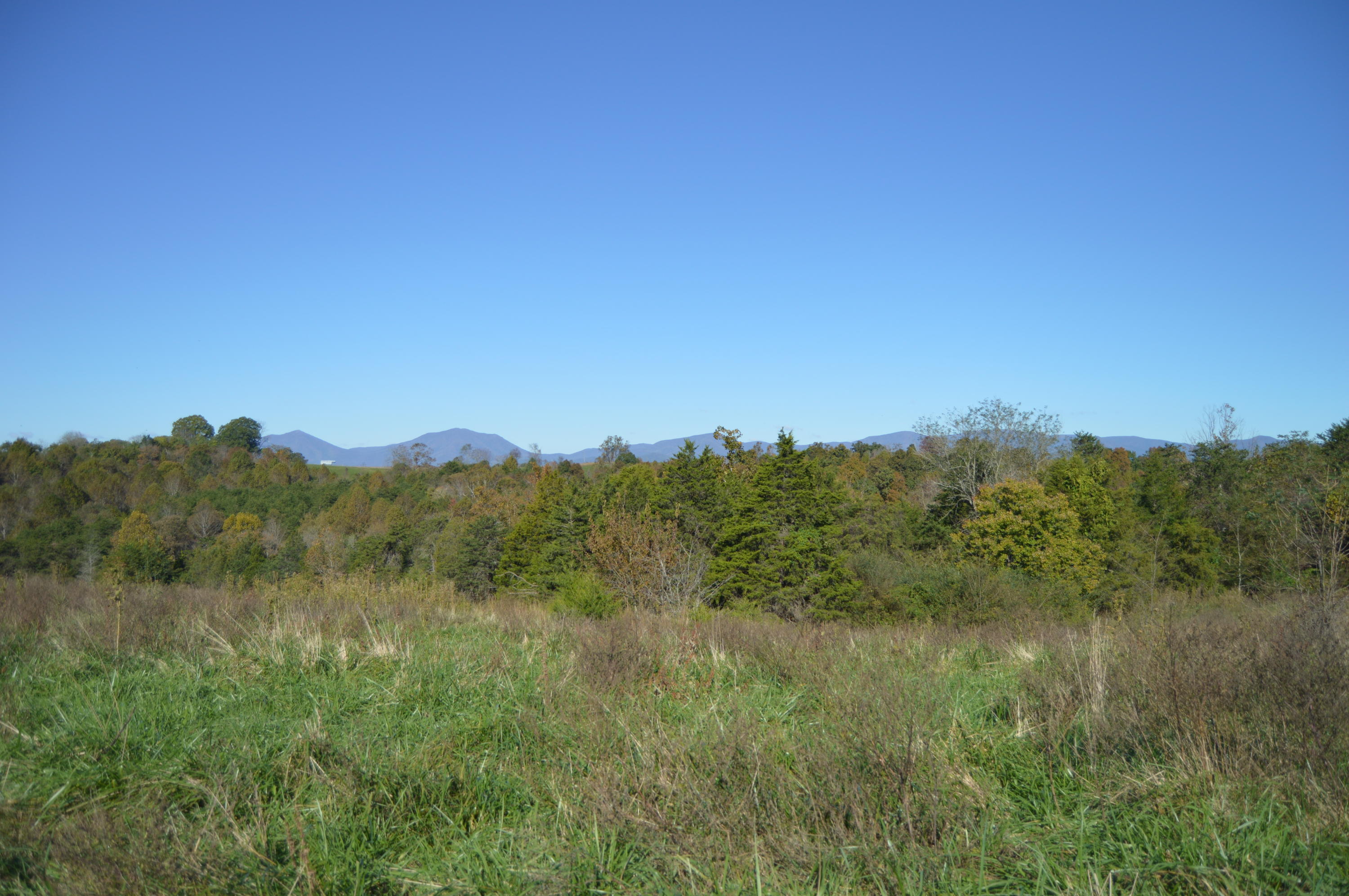 Lot 10 Goode Station Road Goode, VA 24556 - Photo 11 of 18 a view of a lush green forest with a houses