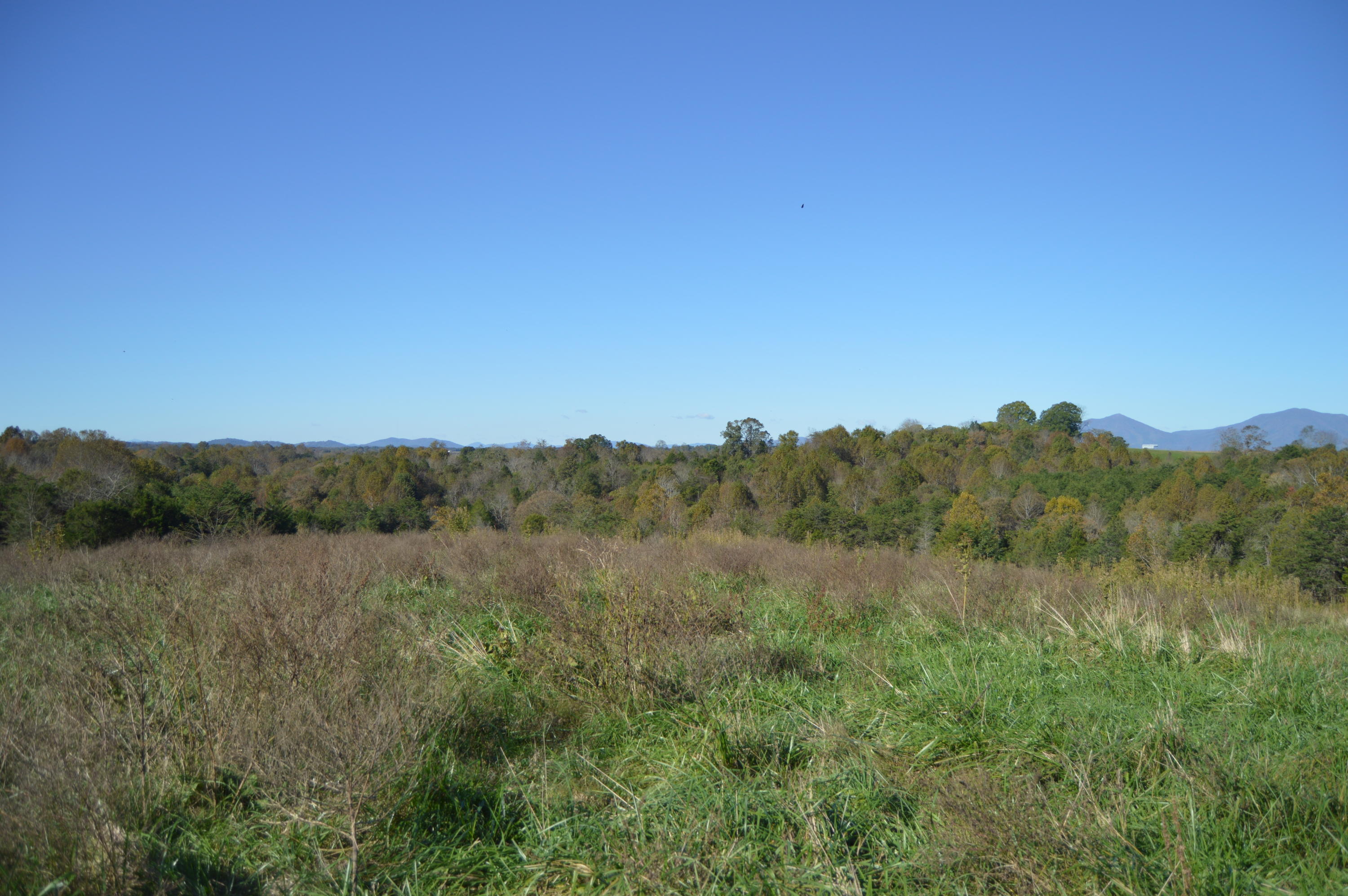 Lot 10 Goode Station Road Goode, VA 24556 - Photo 13 of 18 a view of mountain with trees in the background