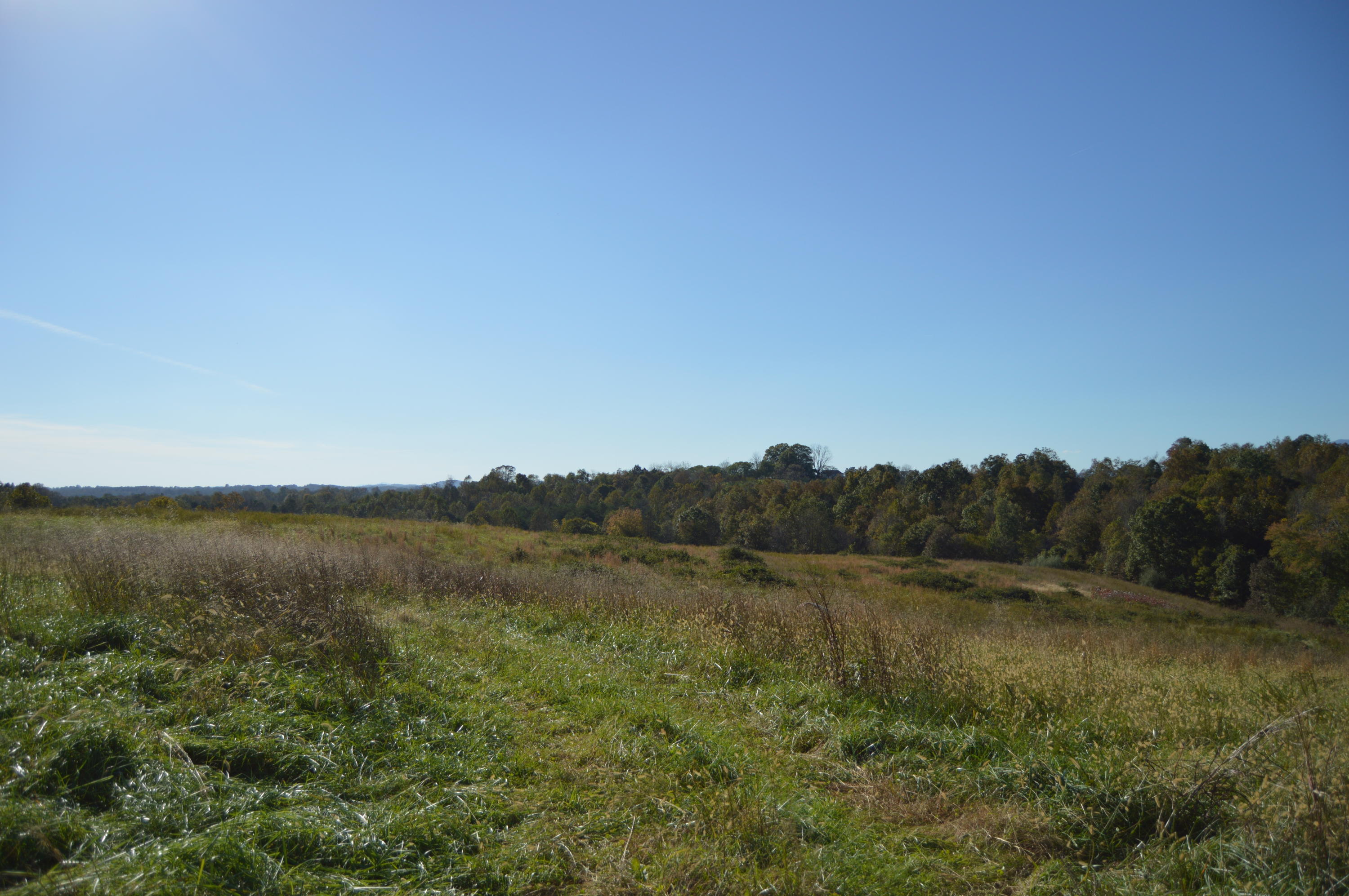 Lot 10 Goode Station Road Goode, VA 24556 - Photo 4 of 18 a view of mountain and lake