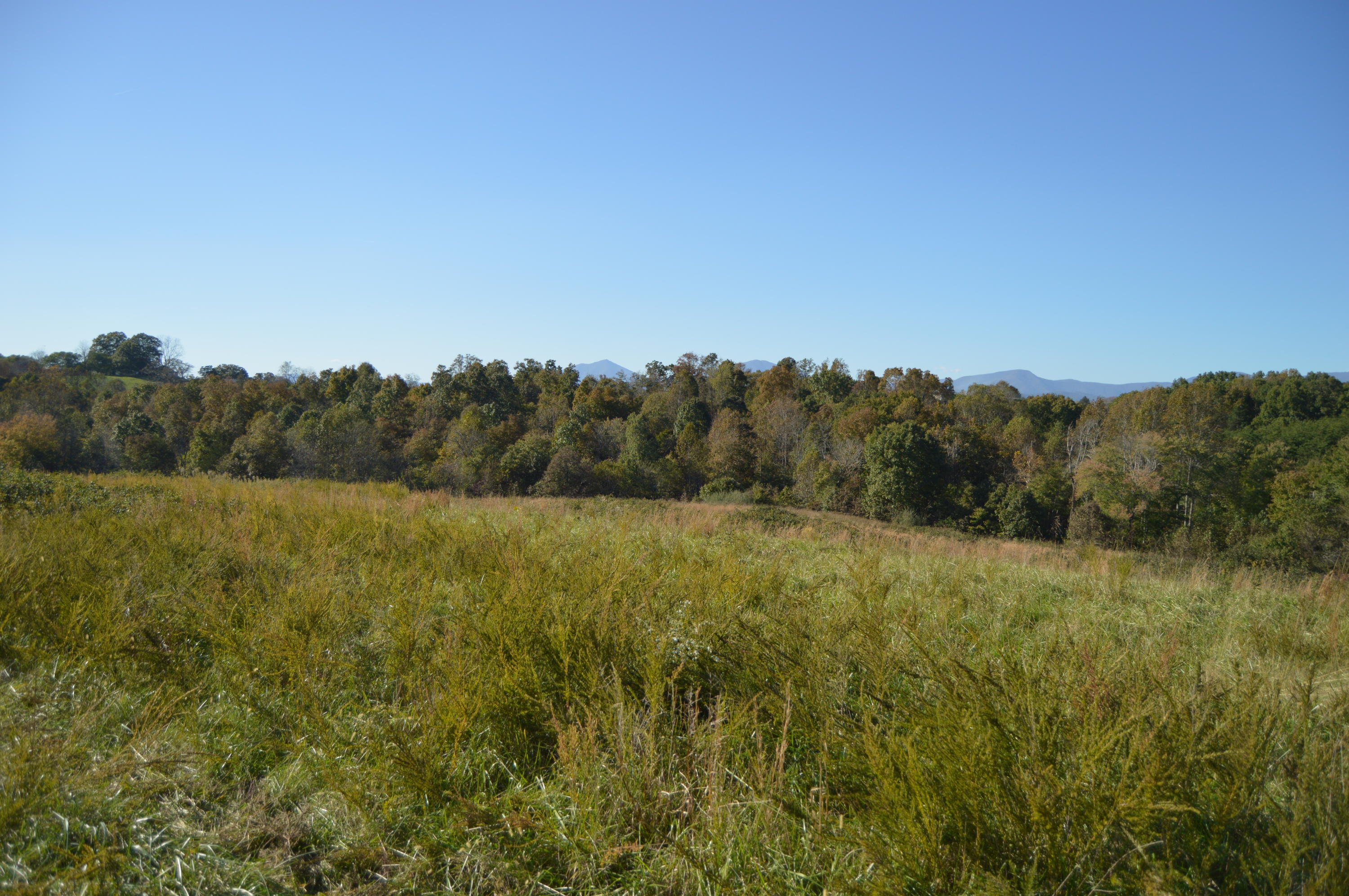 Lot 10 Goode Station Road Goode, VA 24556 - Photo 6 of 18 a view of an outdoor space and a yard