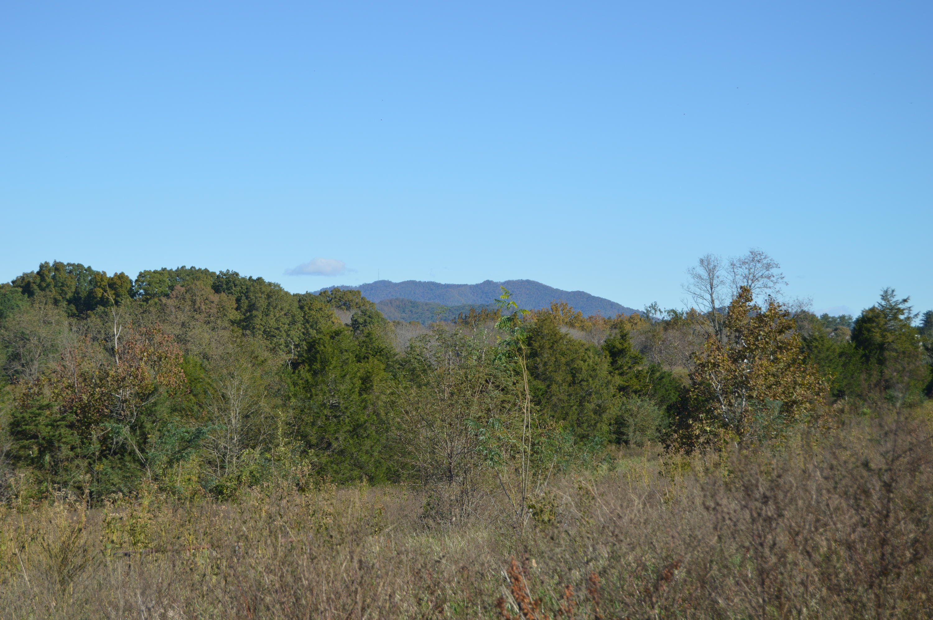 Lot 10 Goode Station Road Goode, VA 24556 - Photo 10 of 18 a view of a mountain range with trees in the background