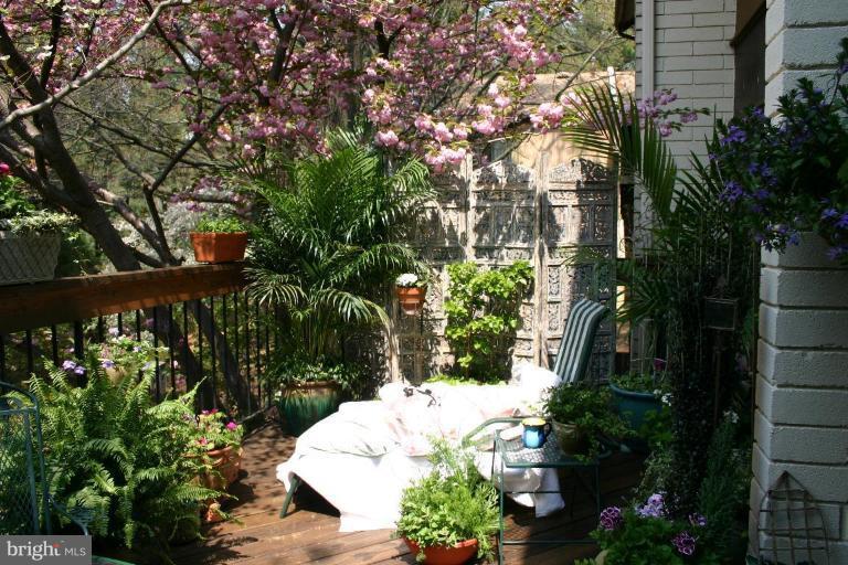 11162 Saffold Way Reston, VA 20190 - Photo 21 of 30 a view of yard with potted plants