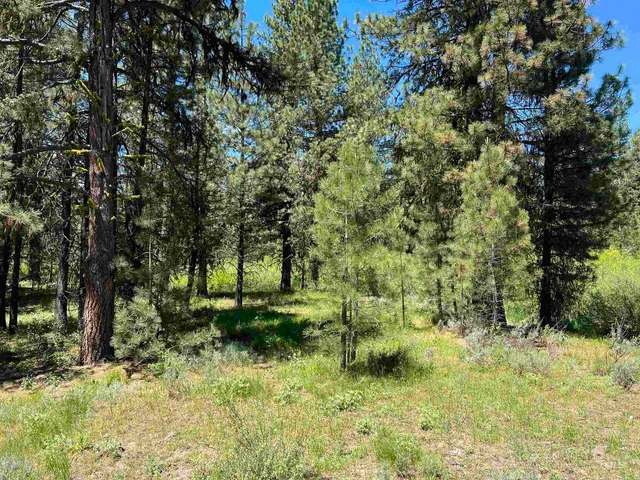 $495,000 | Lot 15 Trail Creek Court, Idaho City, ID 83631