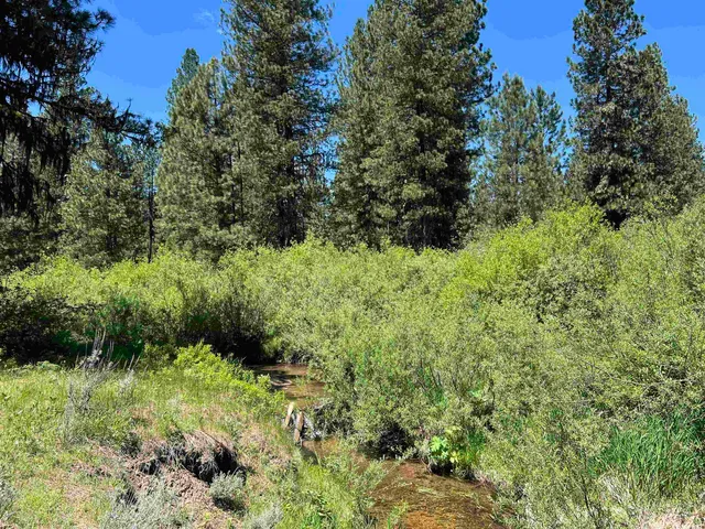 $495,000 | Lot 15 Trail Creek Court, Idaho City, ID 83631