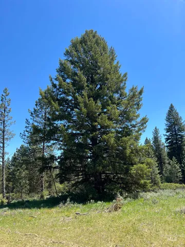 $495,000 | Lot 15 Trail Creek Court, Idaho City, ID 83631