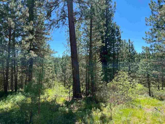 $495,000 | Lot 15 Trail Creek Court, Idaho City, ID 83631