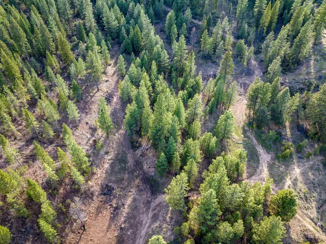 $495,000 | Lot 15 Trail Creek Court, Idaho City, ID 83631