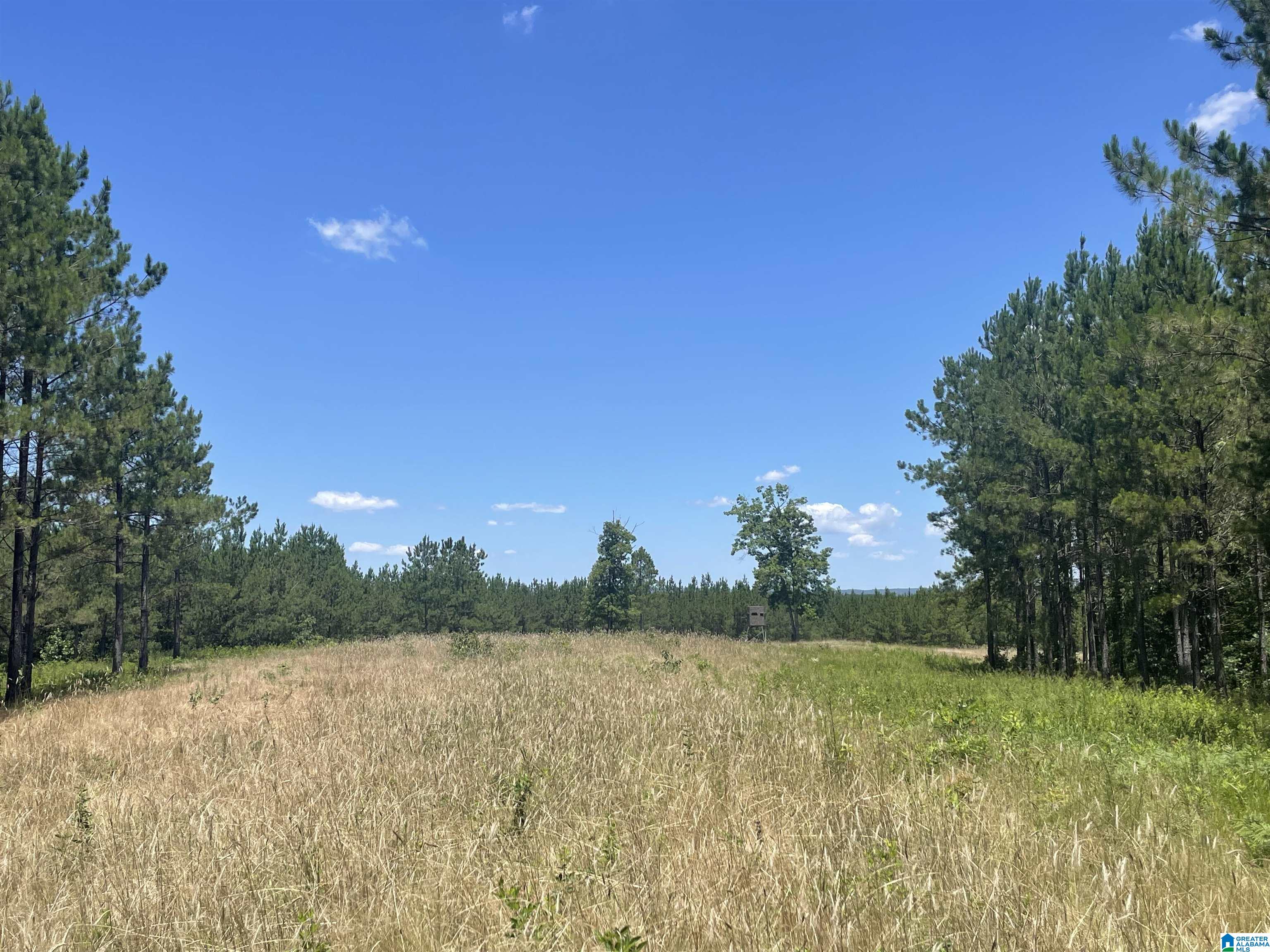 0 Chelsea Farms Road, Unit 24 Chelsea, AL 35043 - Photo 18 of 37