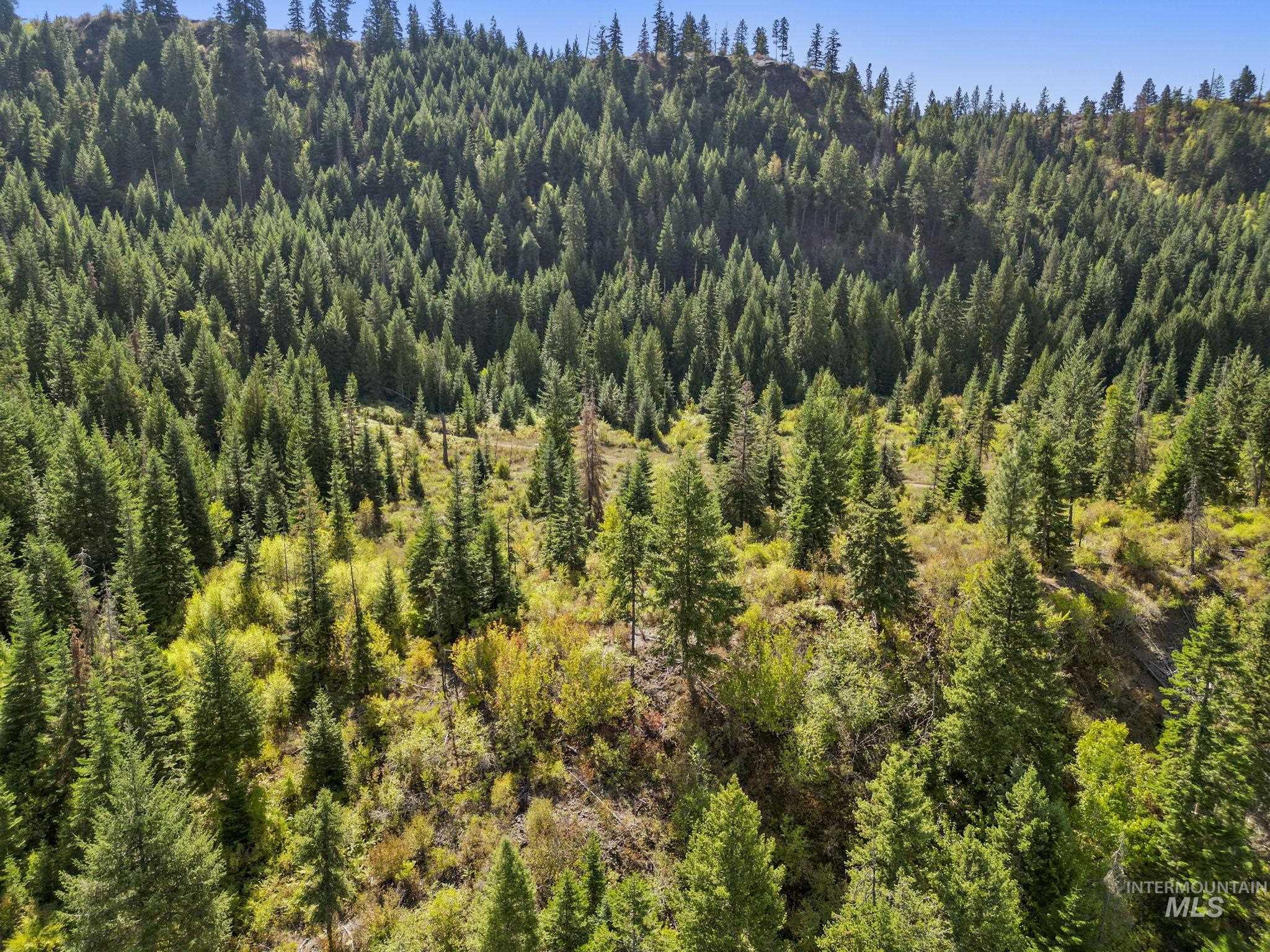 Nka Nka North Road Kendrick, ID 83537 - Photo 19 of 40 Aerial view of a heavily wooded area