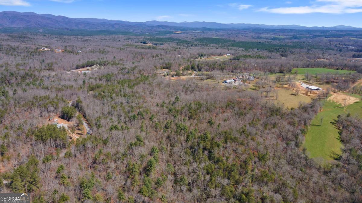 0 Afton Road, Unit 3 Marble Hill, GA 30534 - Photo 11 of 22