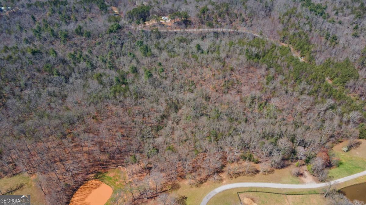 0 Afton Road, Unit 3 Marble Hill, GA 30534 - Photo 22 of 22