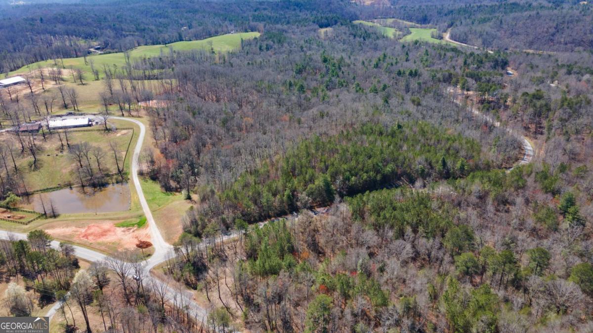 0 Afton Road, Unit 3 Marble Hill, GA 30534 - Photo 5 of 22