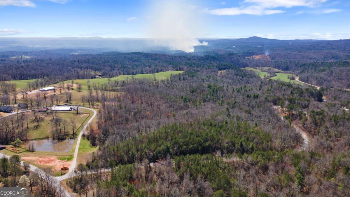 0 Afton Road, Unit 3 Marble Hill, GA 30534 - Photo 6 of 22