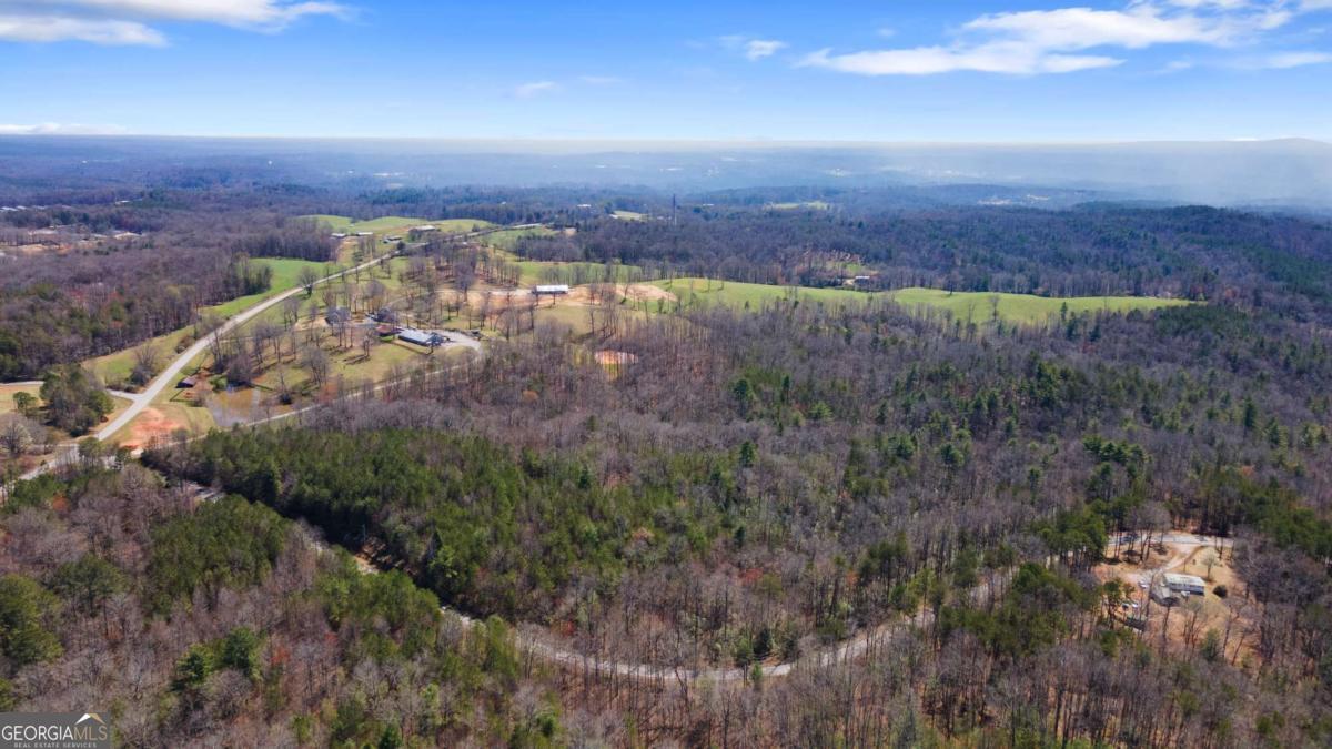 0 Afton Road, Unit 3 Marble Hill, GA 30534 - Photo 8 of 22