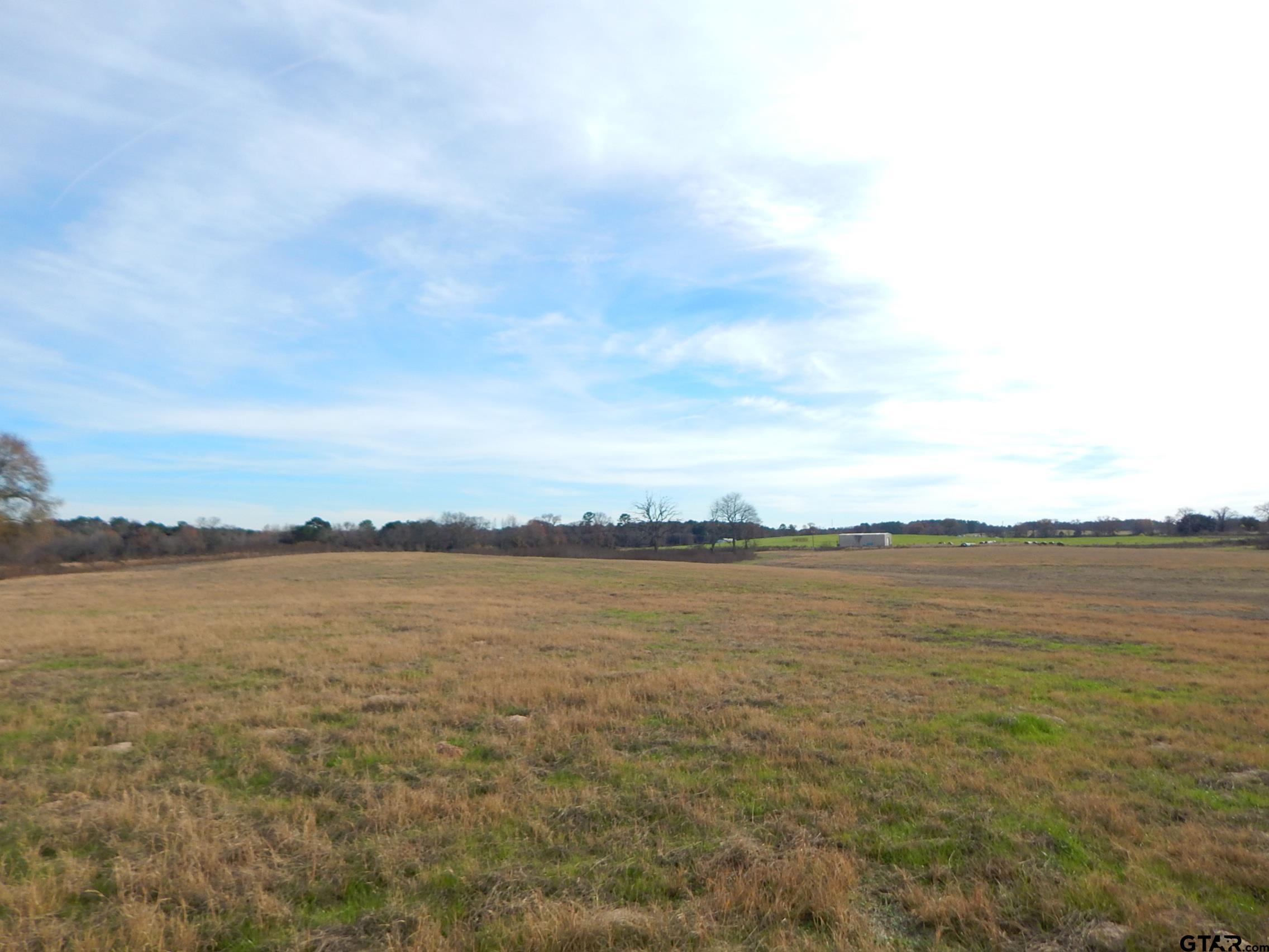 74 Acres Elderberry Road Gilmer, TX 75644 - Photo 12 of 16 a view of an ocean