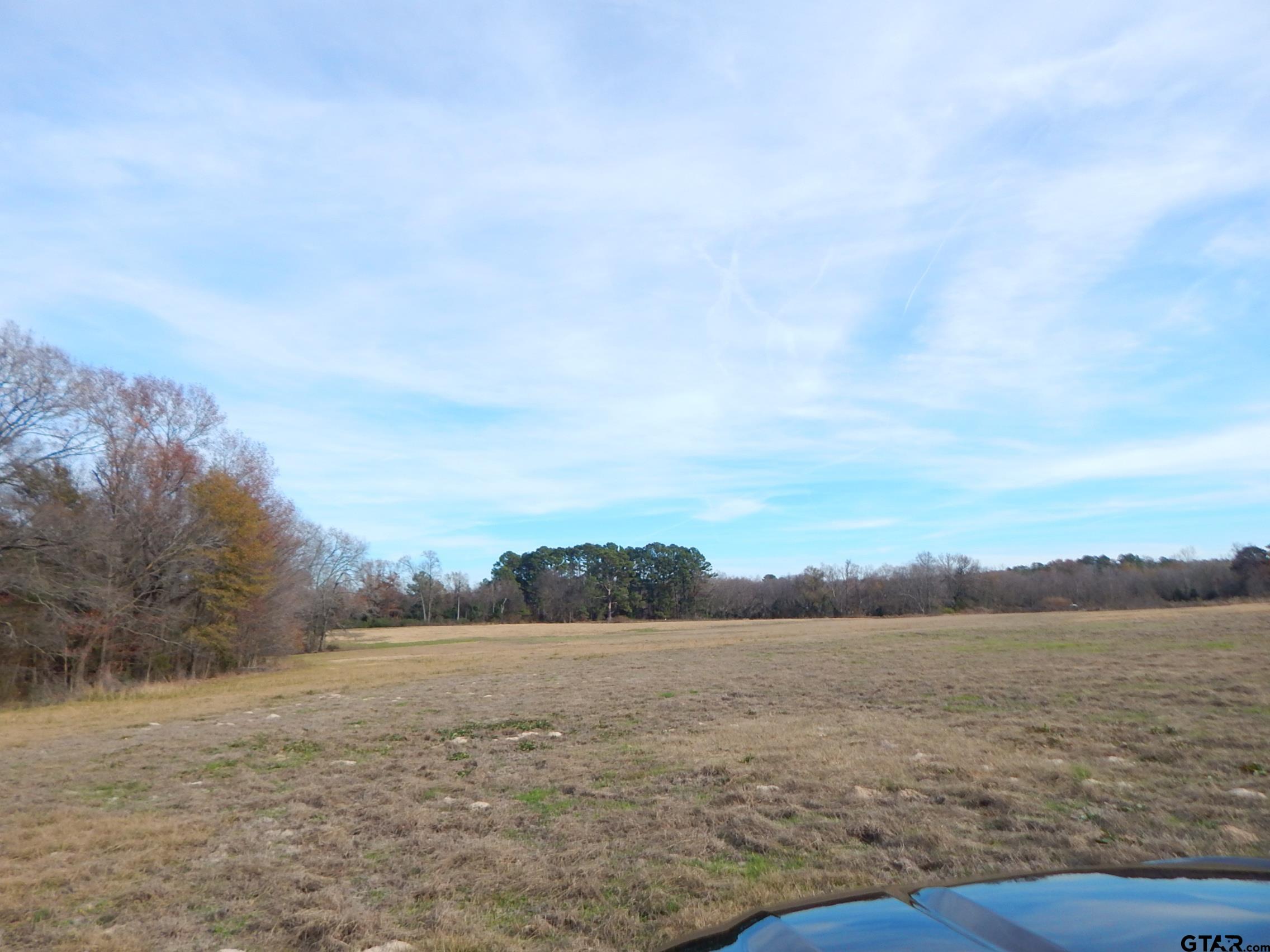 74 Acres Elderberry Road Gilmer, TX 75644 - Photo 13 of 16 a view of a lake view