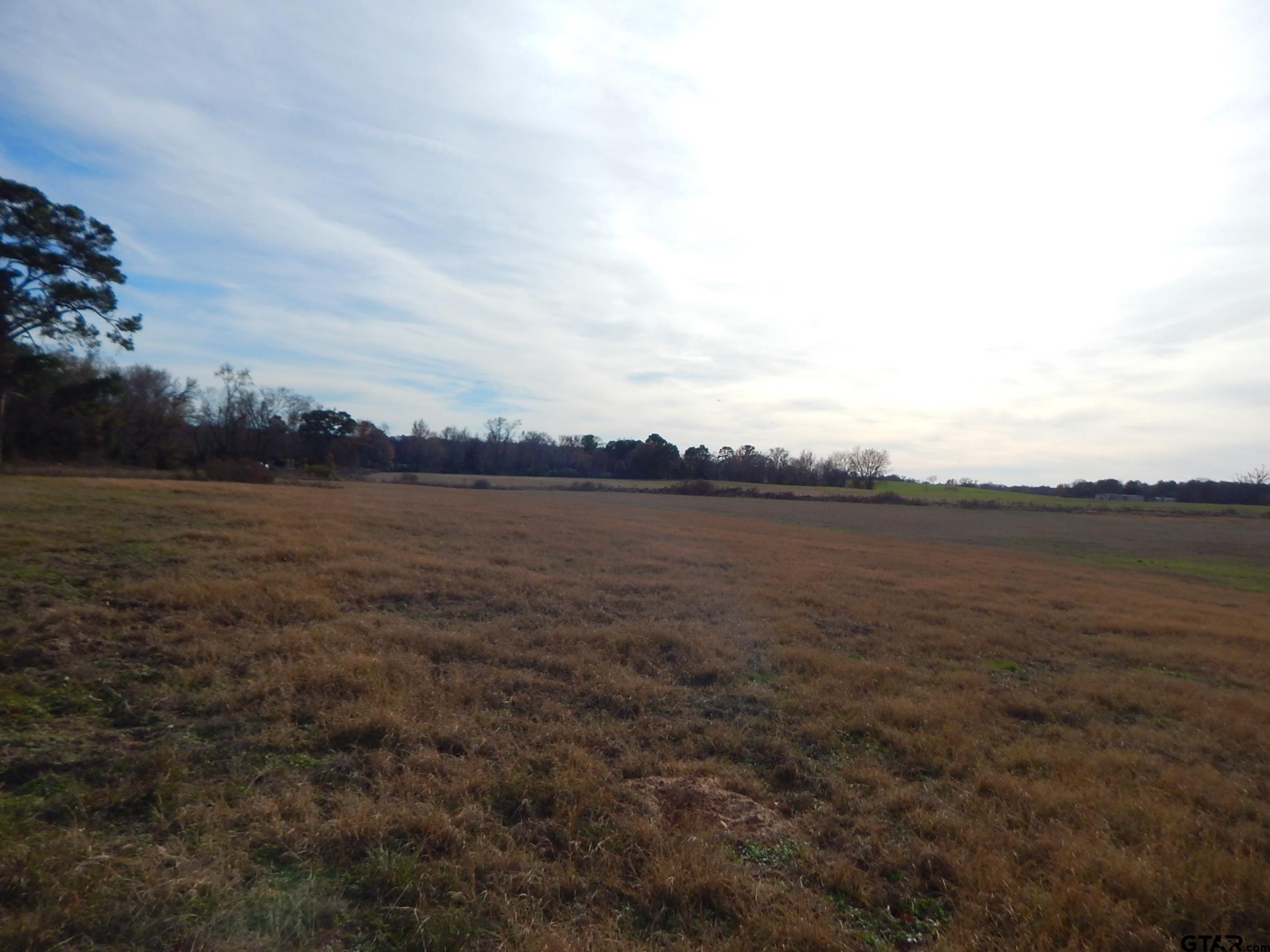 74 Acres Elderberry Road Gilmer, TX 75644 - Photo 14 of 16 a view of a lake view