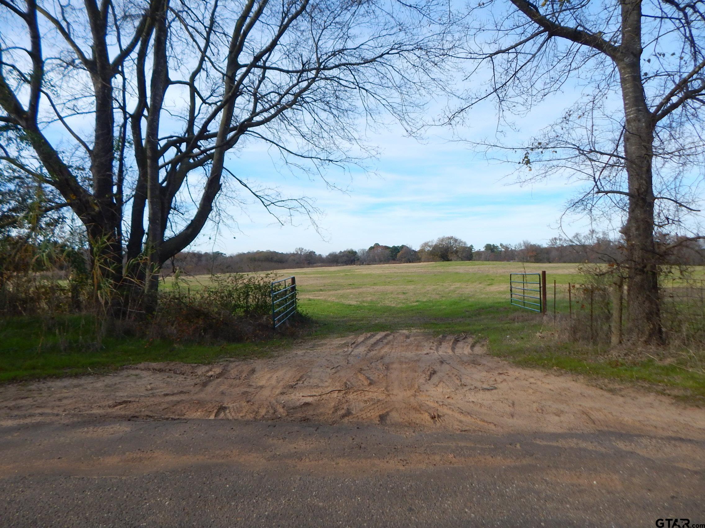 74 Acres Elderberry Road Gilmer, TX 75644 - Photo 15 of 16 a backyard of a house with lots of green space