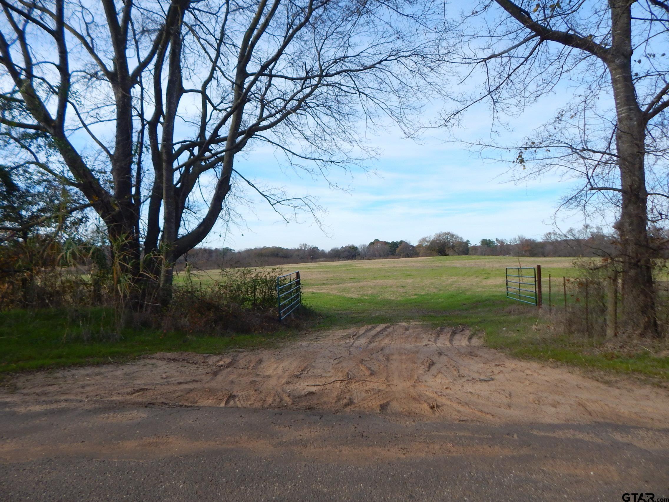 74 Acres Elderberry Road Gilmer, TX 75644 - Photo 16 of 16 a view of lake with outdoor space