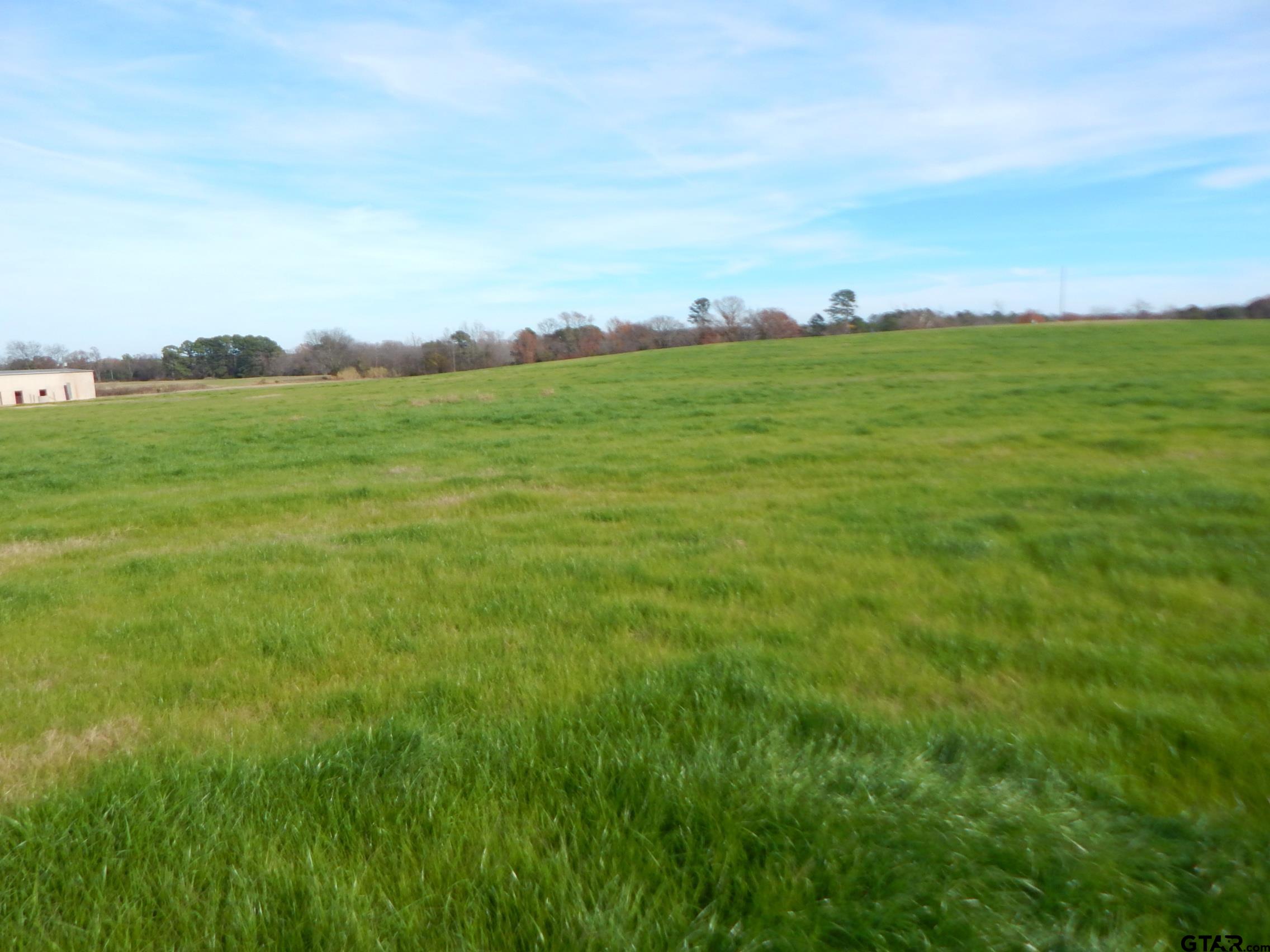 74 Acres Elderberry Road Gilmer, TX 75644 - Photo 3 of 16 a view of an ocean