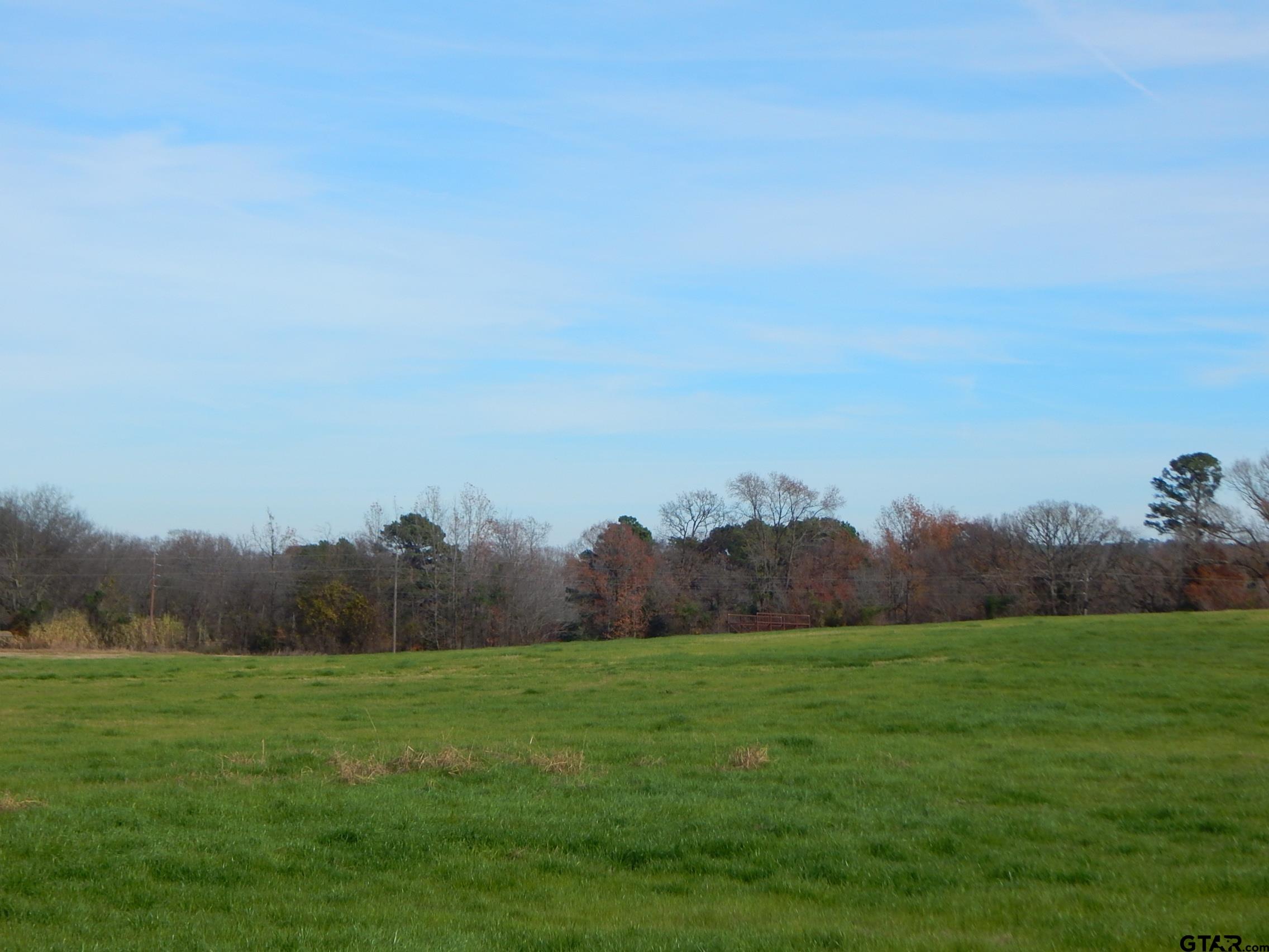 74 Acres Elderberry Road Gilmer, TX 75644 - Photo 4 of 16 a view of grassy field with mountain in background