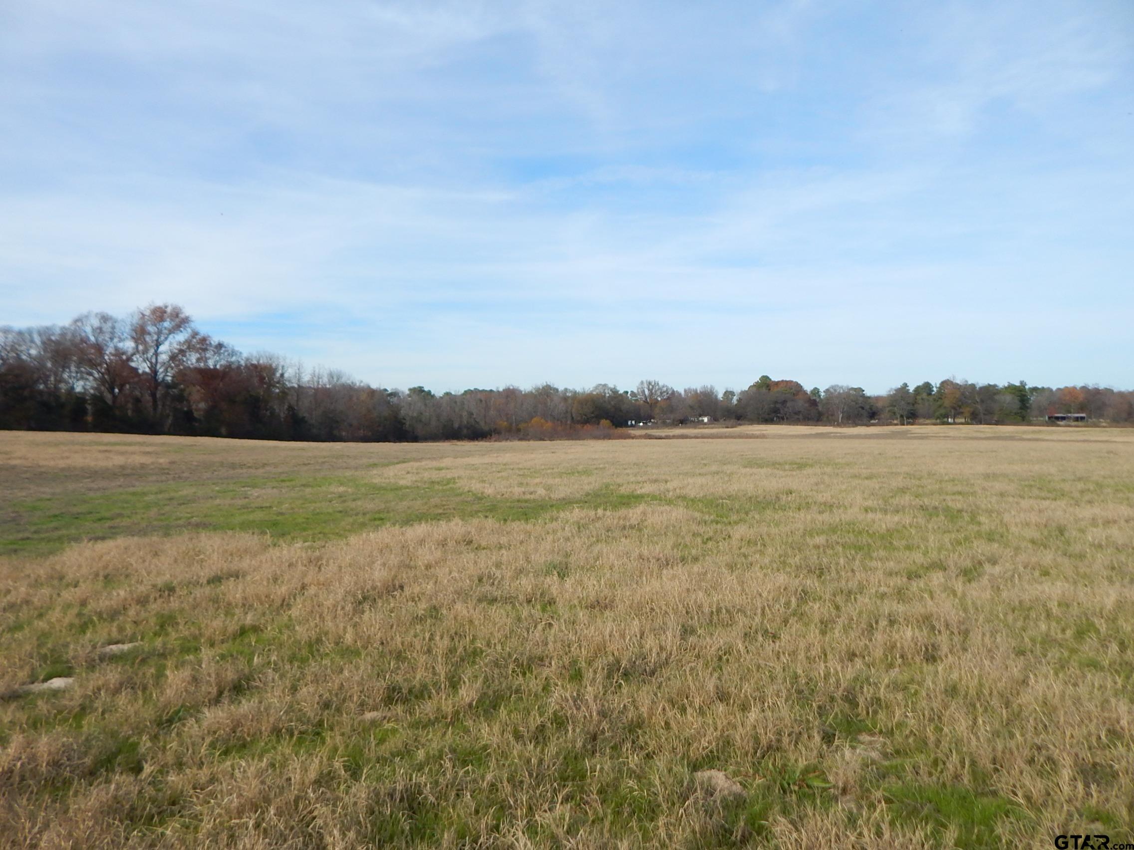 74 Acres Elderberry Road Gilmer, TX 75644 - Photo 6 of 16 a view of a lake view