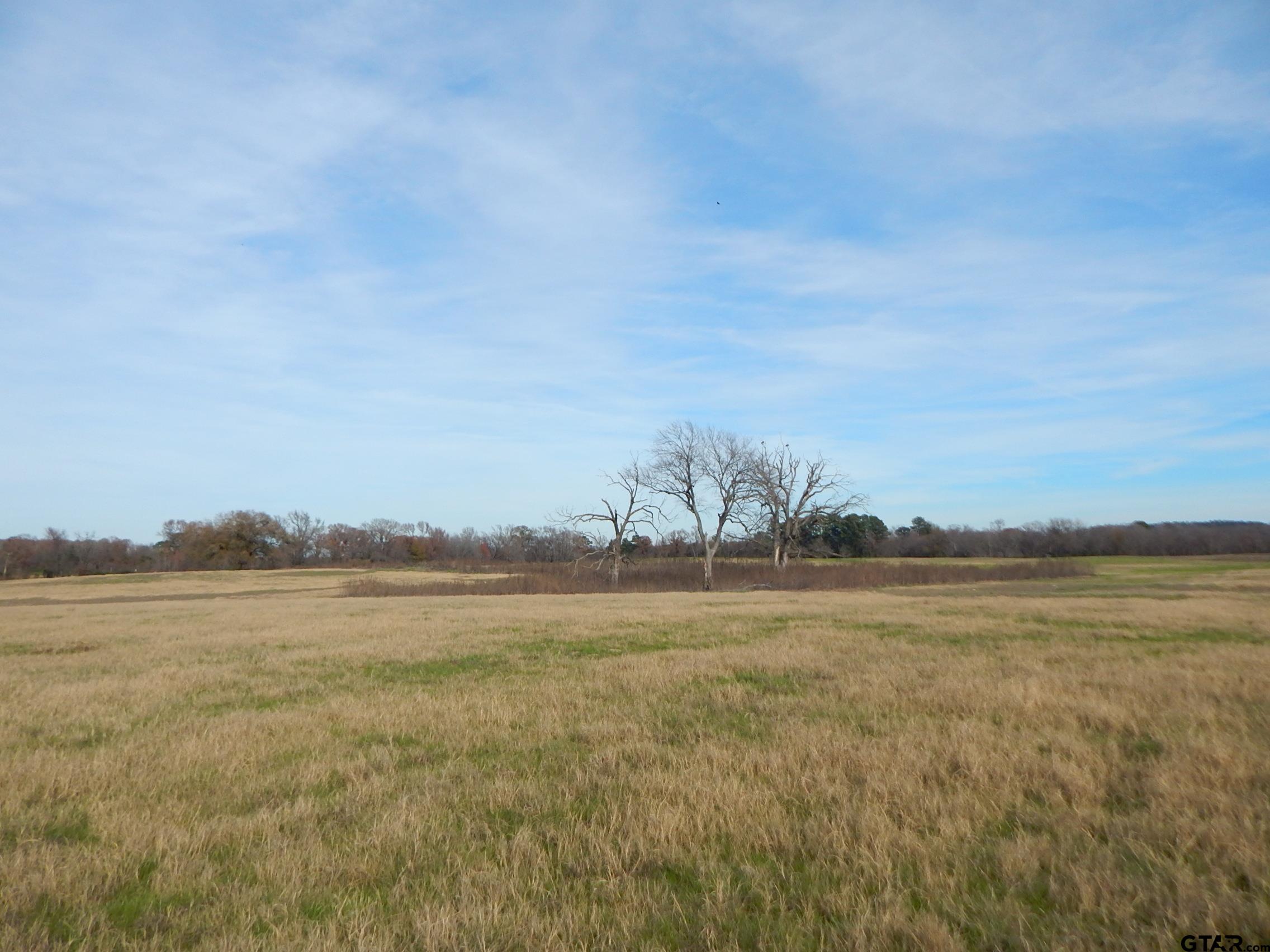 74 Acres Elderberry Road Gilmer, TX 75644 - Photo 7 of 16 a view of an ocean and beach