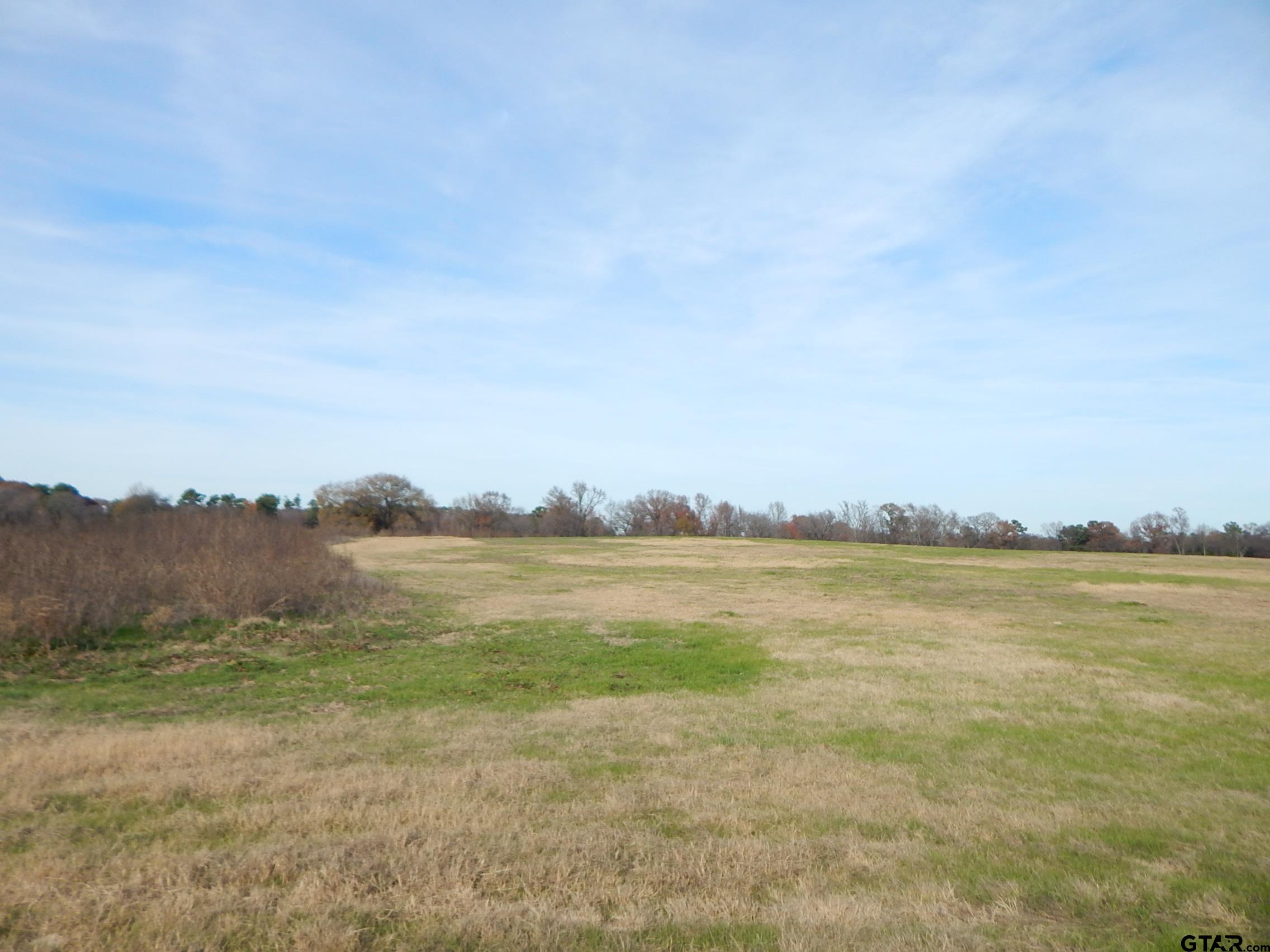 74 Acres Elderberry Road Gilmer, TX 75644 - Photo 8 of 16 a view of an ocean and beach