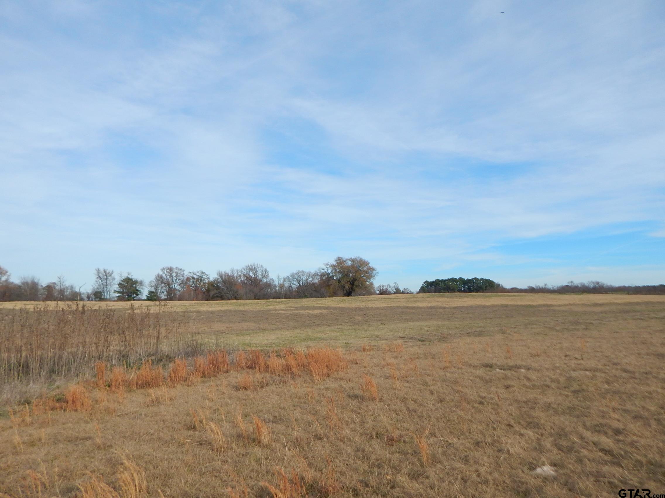 74 Acres Elderberry Road Gilmer, TX 75644 - Photo 9 of 16 a view of lake and mountain