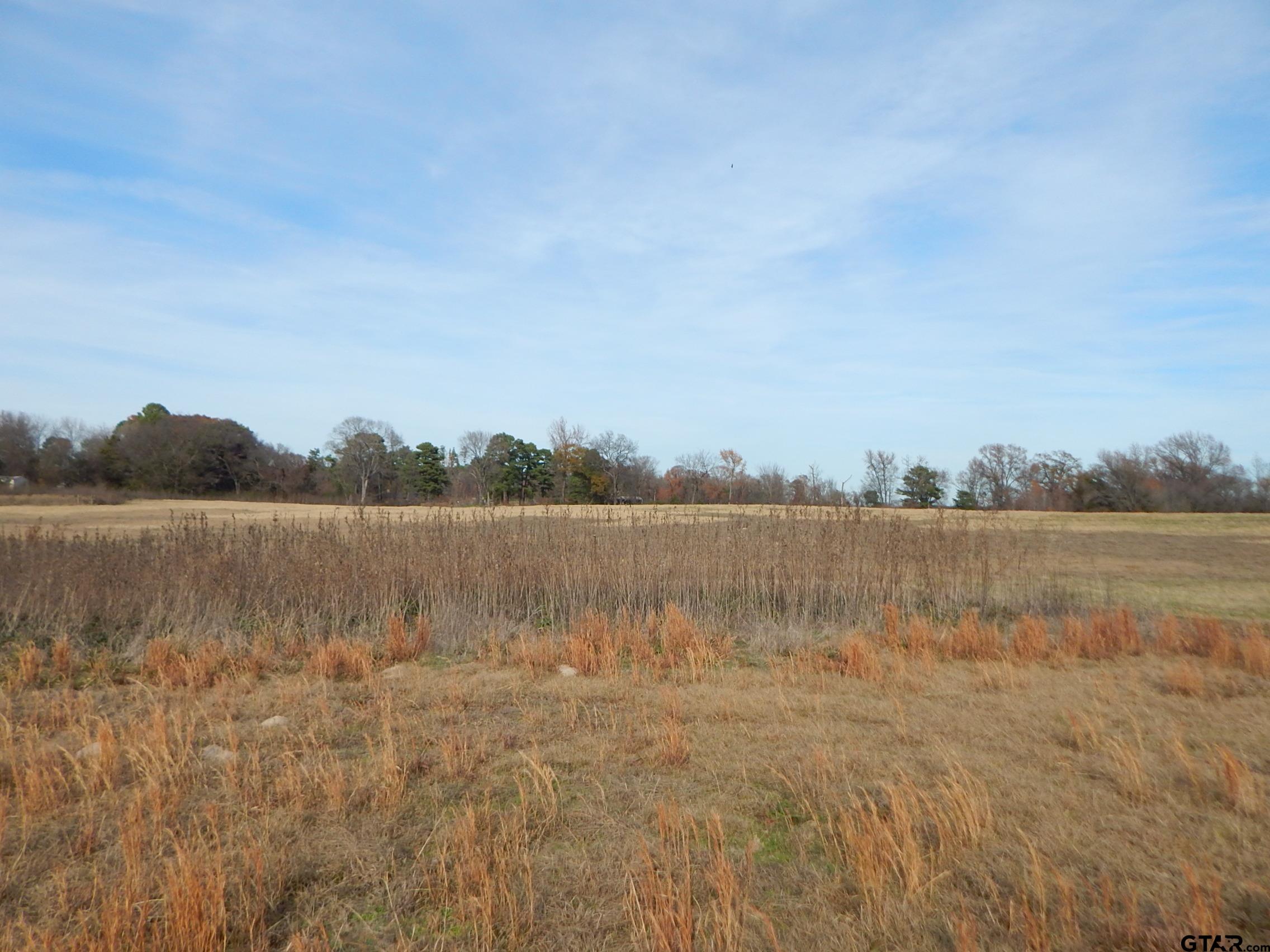 74 Acres Elderberry Road Gilmer, TX 75644 - Photo 10 of 16