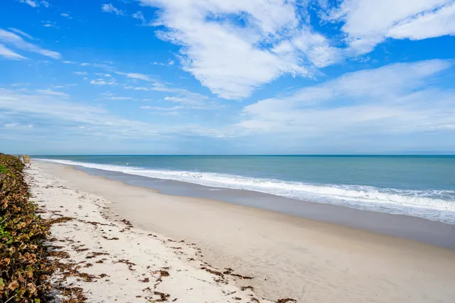 a view of a swimming pool with a yard and plants
